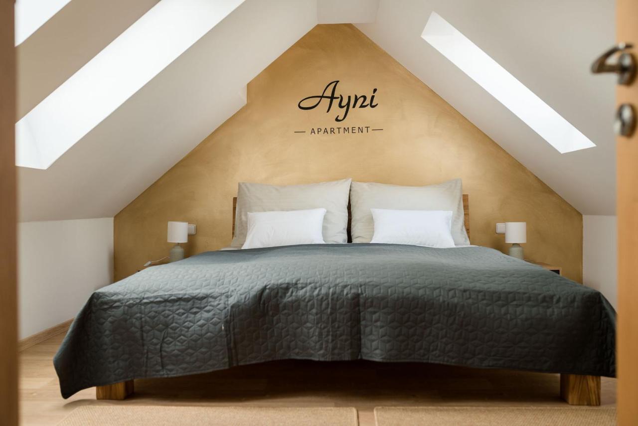 Ayni Apartman Semily Zewnętrze zdjęcie