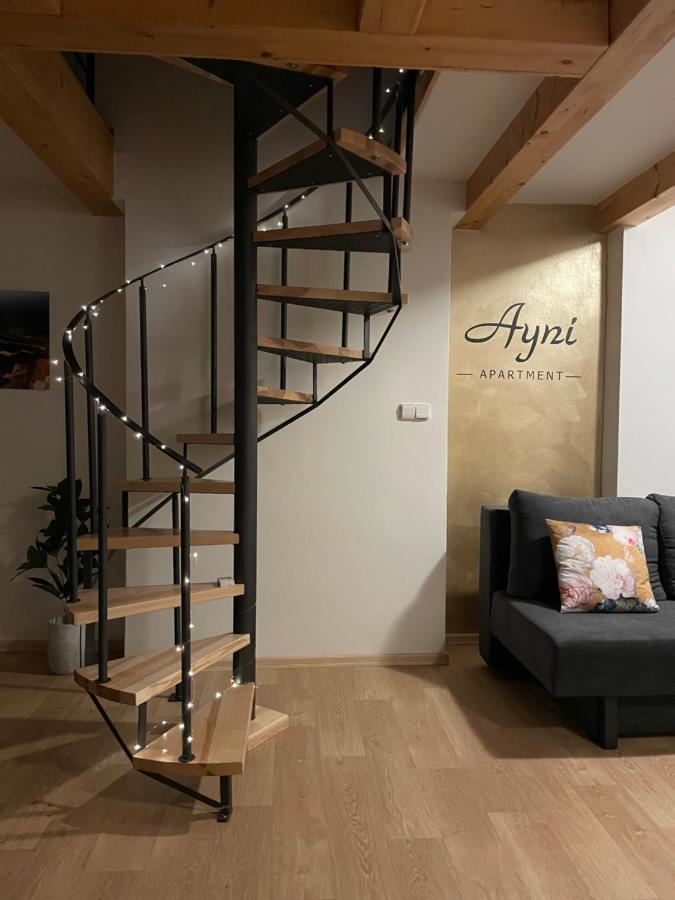 Ayni Apartman Semily Zewnętrze zdjęcie